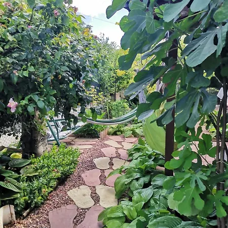 Casuta Din Gradina Două Mai