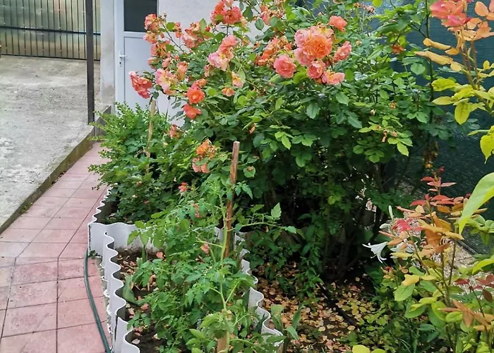 Casuta Din Gradina *