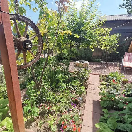 Casuta Din Gradina דירה *