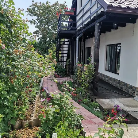 Casuta Din Gradina