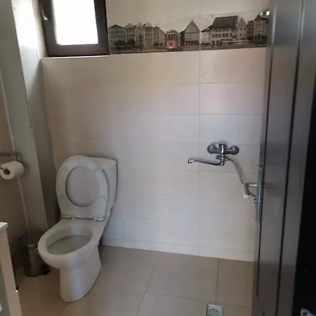 Casuta Din Gradina